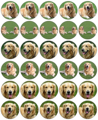 Dog Golden Retriever Cupcake Toppers Edible Icing Wafer Decor