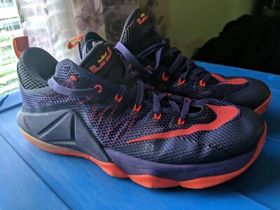 lebron 11 insole