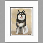 Finnish Lapphund Dog Original Art Print 8x10 Matted to 11x14