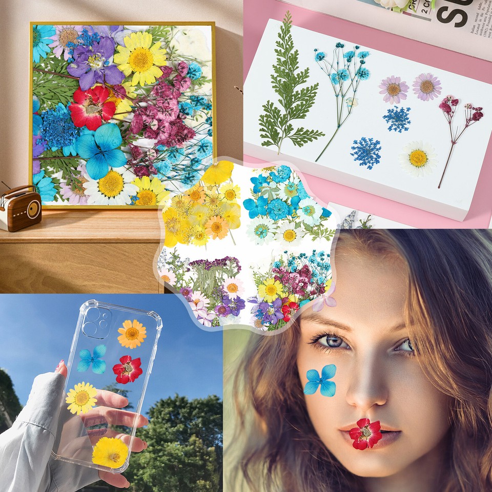 160 Pcs Dried Pressed Flowers for Resin Molds Colorful Real Pressed