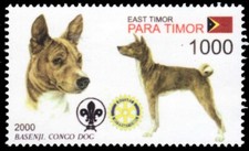 TIMOR LESTE 2000c - Dogs of the World "Basenji" (pb74103+)