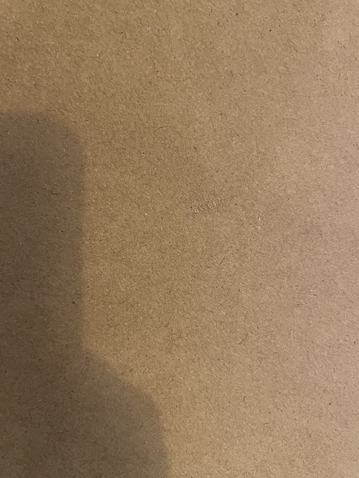 Bild 3 von 8