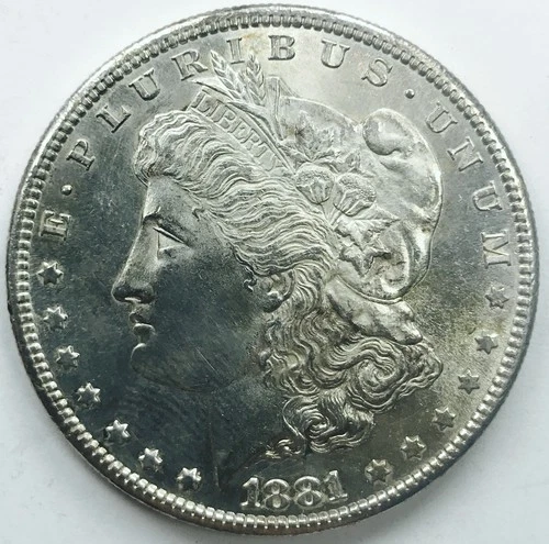 1881 S MORGAN DOLLAR! GEM BU+++! UNREAL FIND! INCREDIBLE! WONDERFUL! NR #P1650