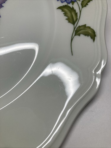 Coppia di piatti Ceralene Fleur De Printemps 10" - Foto 5 di 23