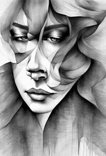 Monochrome Whispers: The Hidden Form  