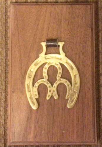 Brass Harness Horseshoes Medallion Wall Plaque - Picture 1 of 5