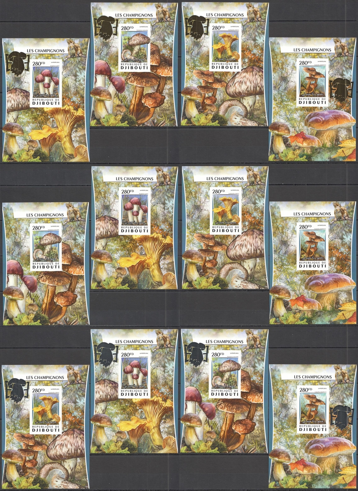 LX IMPERF 2016 DJIBOUTI MUSHROOMS WITH & WITHOUT OVERPRINT CARDBOARD 12BL MNH