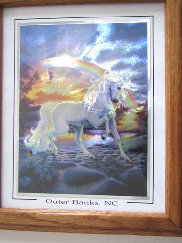 Einhorn & Regenbogen Folienkunst Outer Banks North Carolina Souvenir gerahmt 10 x 12 - Bild 2 von 6