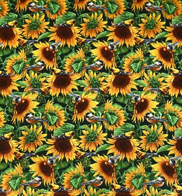 Sonnenblume Vogel Baumwollstoff mtr/yd Wild Wings David Textilien für Gesichtsmasken