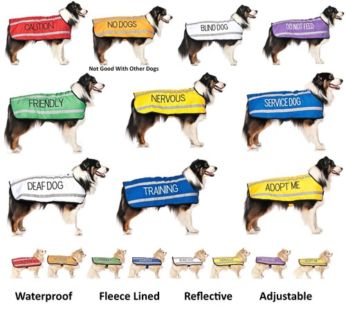 Warning Dog Colour Coded Collar Lead Harness CAUTION, TRAINING Sizes & Styles - Picture 11 of 39