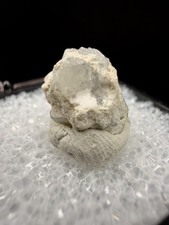 Rare Lustrous Phenakite w/ Feldspar Matrix (Thumbnail) - Mt Antero, Colorado