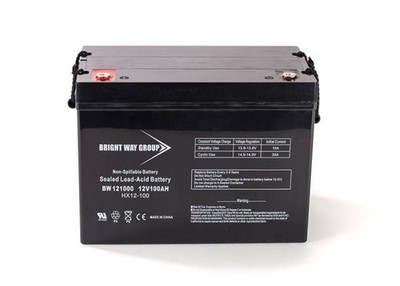 Bright Way Group 12V 100Ah AGM Replacement for Trojan SCS150