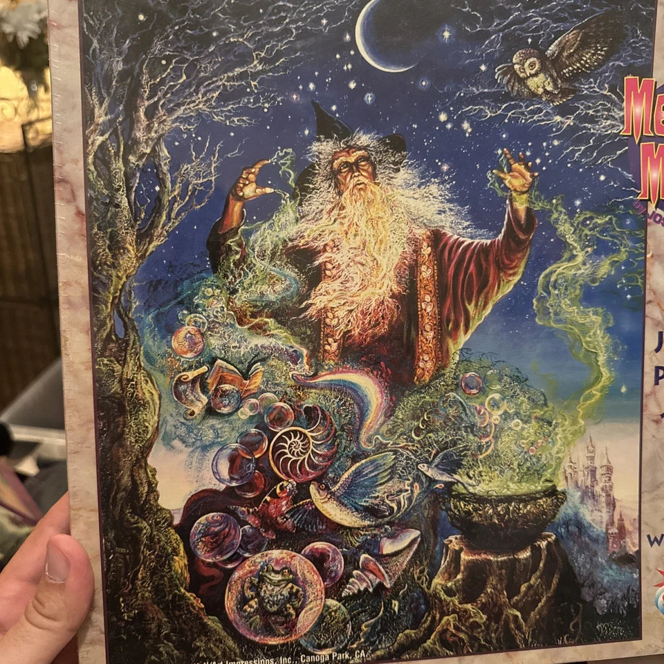 Rompecabezas de colección Sunsout Merlins Magic de Josephine Wall 550 piezas RARO SELLADO Foto 2 de 4