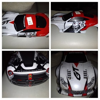 Pre-Painted Body Shell For RC Cars in Muli-Color /  Large Skin
