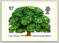 1974 UK Post Office PHQ 5 Horse Chestnut Tree Botanical Stamp Postcard