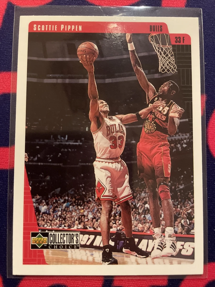 Bulls city shop edition 218