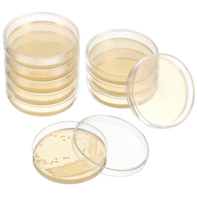 20X Petrischalen mit Agar Vorgegossenen Agarplatten Laborschalen für Experiment