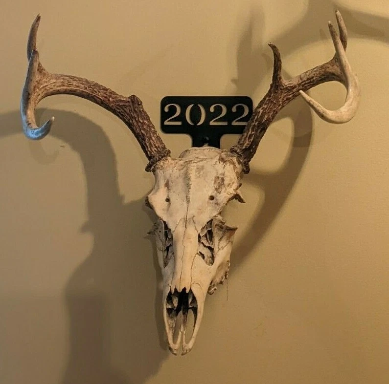 Metal best sale deer mount