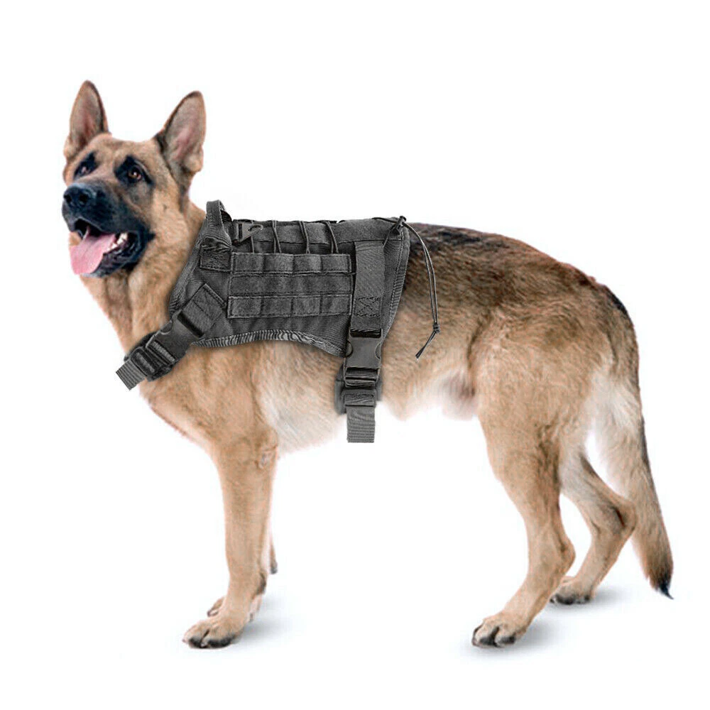 Voodoo dog lift clearance harness