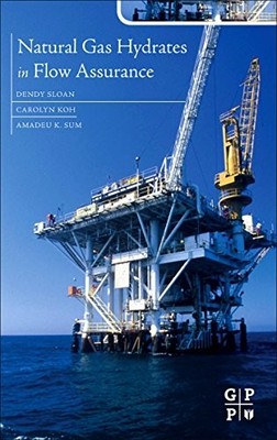 Natural Gas Hydrates in Flow Assurance by Carolyn Ann Koh 9781856179454 NEW