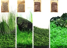 4-Pack Aquarium Plant Seeds Set Live Fish Tank Grass Mix ZQV-005