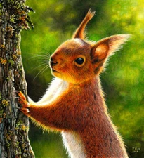 Red Squirrel by Esther van Hulsen Forest Wildlife Nature Fine Art Print 21.25x23