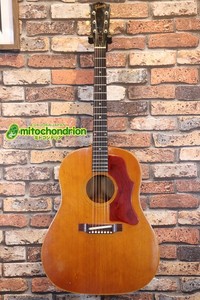 Gibson J-50 1963 | eBay