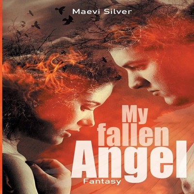 My fallen Angel Maevi Silver Paperback Books on Demand GmbH