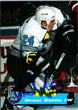 Michal Grosek signed Hockey Card (Springfield Falcons) 1995 Collectors Edge #68