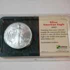 Silver American Eagle (2003) 1 TROY oz $1 Dollar US Mint Coin - Littleton Case