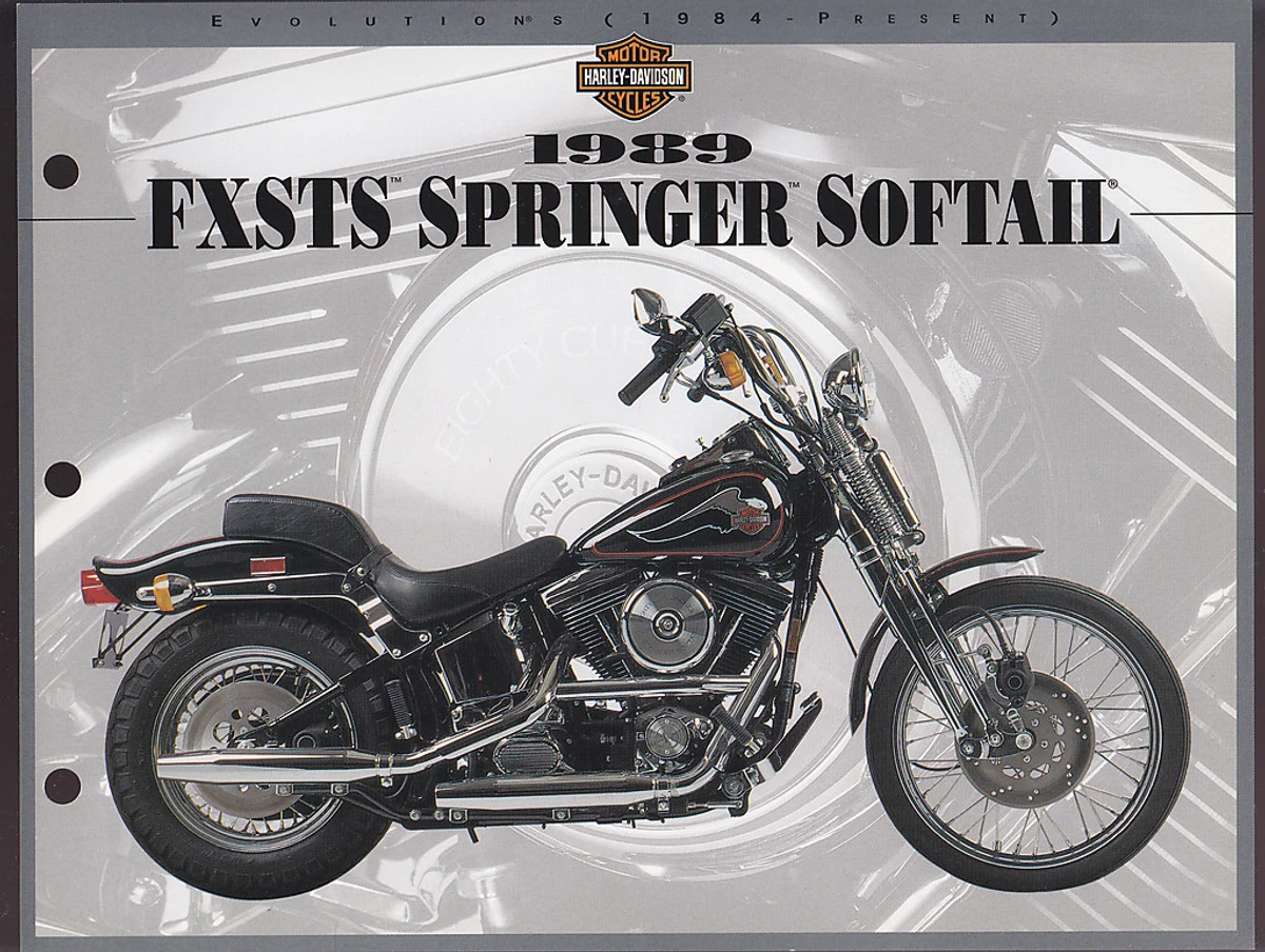 1989 springer deals softail