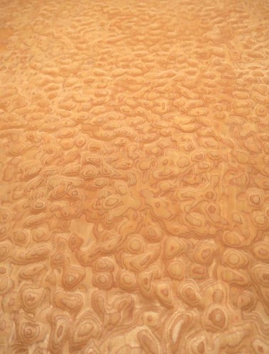 Muschelahorn Impiallacciatura Saraifo Trapuntato Maple Holzfurnier 250x32cm - Bild 10 von 12