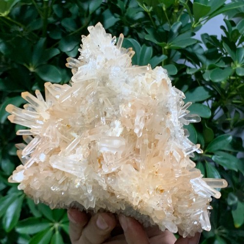 3.04LB A+++Large Natural white Crystal Himalayan quartz cluster /mineralsls - 第 11/13 張圖片
