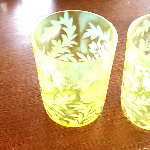 2er Set Northwood EAPG Gelb Vaseline Glas Gänseblümchen und Farn Tumbler Gläser - Bild 3 von 17