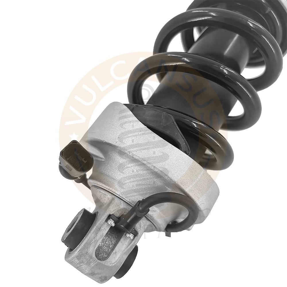 Audi R8 2019-2025 Front Left Shock absorber P/N 420412019S