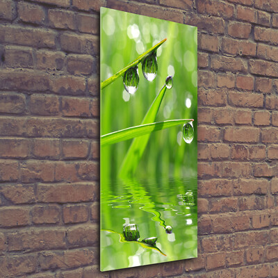 Wandbild Kunst-Druck auf Hart-Glas hochkant 50x125 Gras Wassertropfen