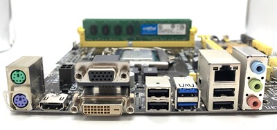 ASUS H81M-A Motherboard H81 LGA 1150 8GB DDR3 mATX Intel Pentium