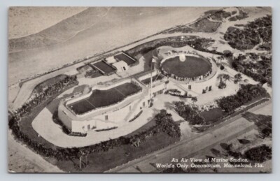 Birds Eye Aerial View Marine Studios Marineland Florida P112A