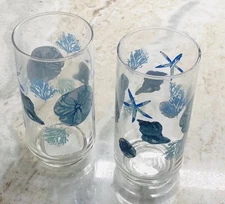 Set Of  Two(2) 6” Tall 16.3oz-Star Fish Reef Sand DollarDrinking Tumbler Glasses