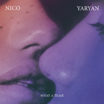 *NEW SEALED* NICO YARYAN ''WHAT A TEASE'' VINYL LP the hold steady partisan