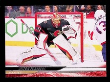 Anton Forsberg 2024-25 Upper Deck #371 Ottawa Senators