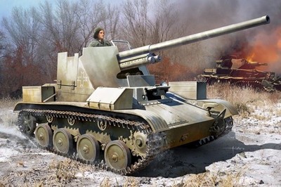 Romanian TACAM T-60 135
