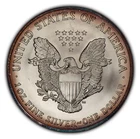 2004 1 oz Silver American Eagle - Fresh BU - Violet Rim Toning - SKU-E2561