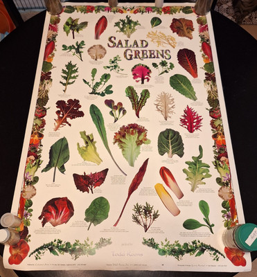 Vintage 1993 Mixed Salad Greens Chart Todd Koons Large Poster 24'' x 36'' TKO Farm