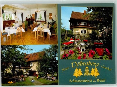 39238164 - 8678 Schwarzenbach a Wald Hotel Doebraberg Gasthaus Hof LKR