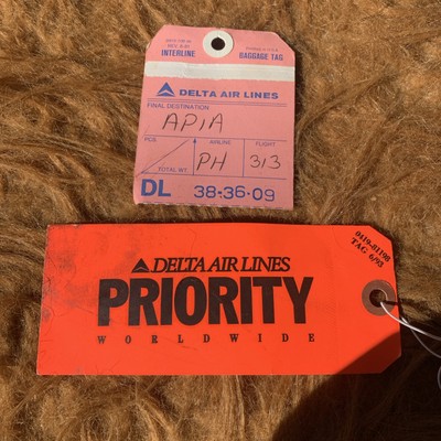 Delta Airlines - Vintage AIRLINE GEPÄCK X 2 LABEL TAG - SELTEN