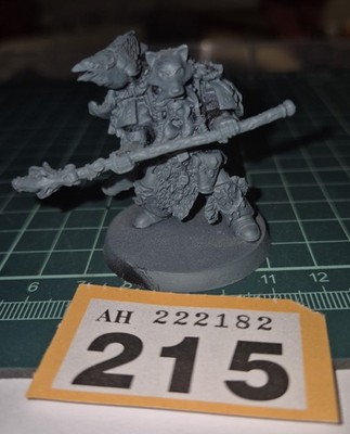 Warhammer 40k Space Marine Space Wolves Njal Stormcaller in TERMINATOR ARMOUR
