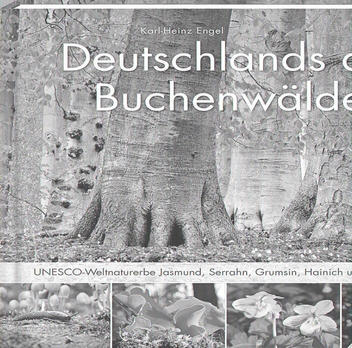 Thumbnail - Deutschlands Alte Buchenwälder Karl Heinz Engel Buch 103 S. Deutsch
