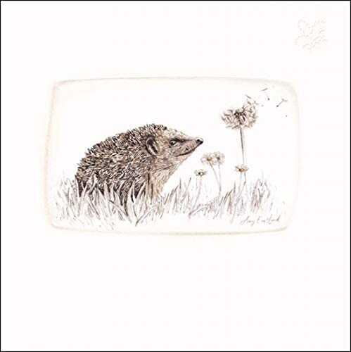 Hedgehog Garden Quest Blank Greeting Card - National Trust Habitat Birthday