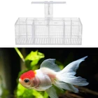 4-Grid Aquaponic Fish Tank Desktop Fish Tank Rectangle Acrylic Betta Fish Tank